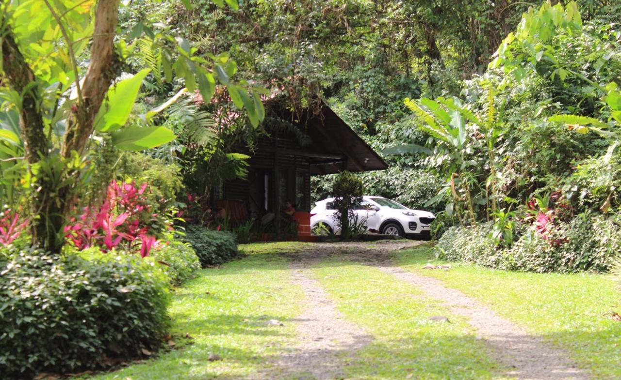 Arenal Oasis Eco Lodge & Wildlife Refuge La Fortuna Ngoại thất bức ảnh