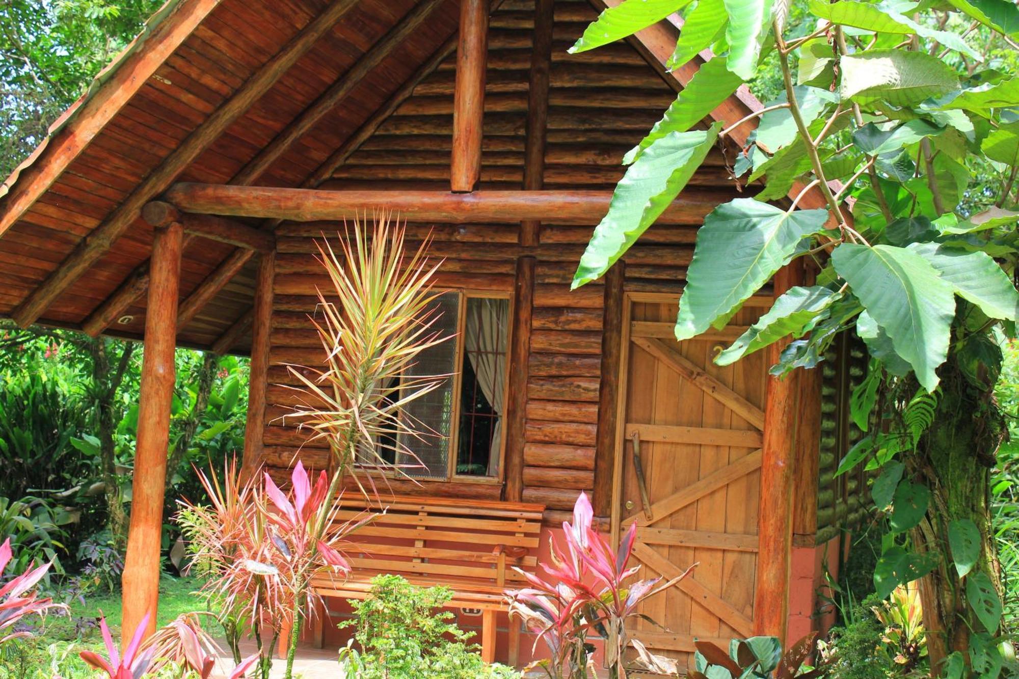 Arenal Oasis Eco Lodge & Wildlife Refuge La Fortuna Ngoại thất bức ảnh